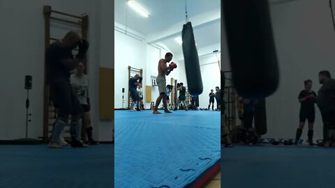 Punch And Elbow The Bag (6)