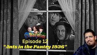 The Three Stooges | Ants in the Pantry 1936 | Episode 12 | Reaction