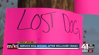 Smithville family searches for missing service dog