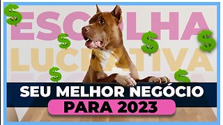 66 ideias de negócios lucrativos para 2023 | Um deles pode te deixar rico.