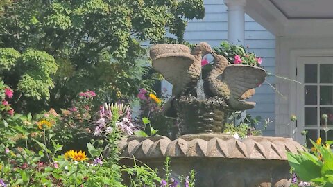 Love Birds on a beautiful day!! 🐦🐦🌷🌼🌹🏵🌷