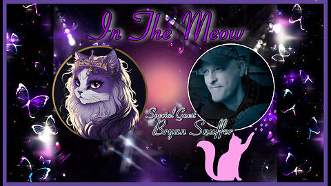 In The Meow | With Special Guest Bryan Snuffer