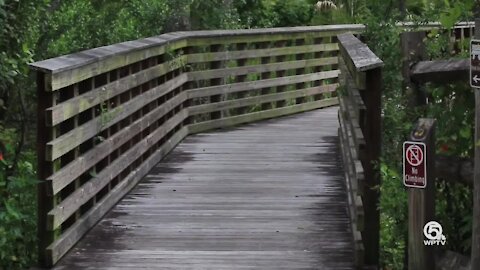 North Jupiter Flatwoods Natural Area