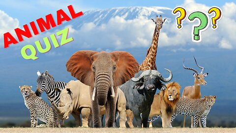 animals for kids, animals for toddlers educational, animals names for kids, animals video for kids