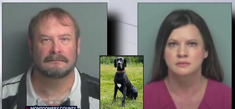 Houston Area Nurse Charged With Bestiality Against Great Dane!