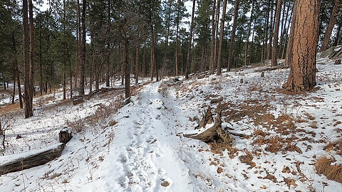 A Quick Hike Around Coon Hollow Trail