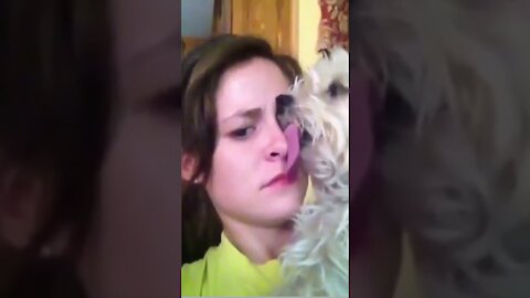 Cute Dog Kissing Her Owner on Chicks