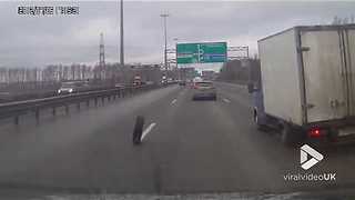 Rogue tire causes chaos