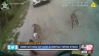 Teen, elderly man attacked by pack of dogs