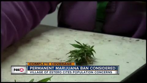 Estero, Collier County consider medical marijuana bans