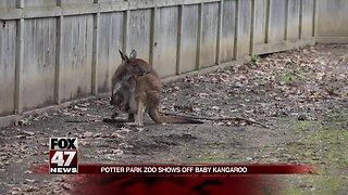 Potter Zoo welcomes its newest adorable edition