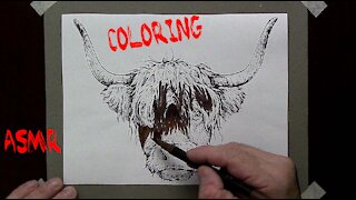 ASMR Coloring Animals -YAK