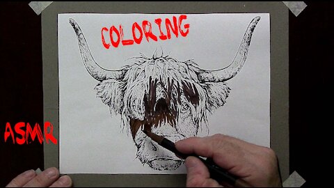 ASMR Coloring Animals -YAK