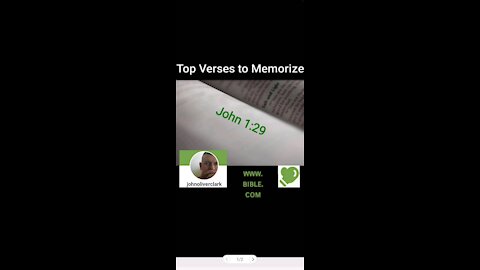Top Verses To Memorize, John 1:29
