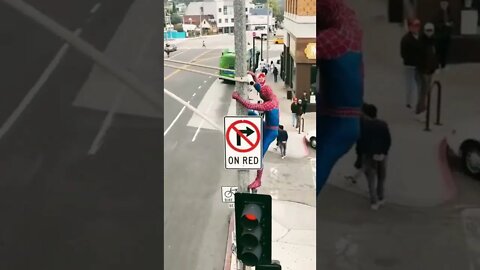 Real Spider-Man In Word