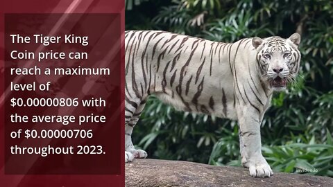 Tiger King Coin Price Prediction 2022, 2025, 2030 TKING Price Forecast Cryptocurrency Price Predic