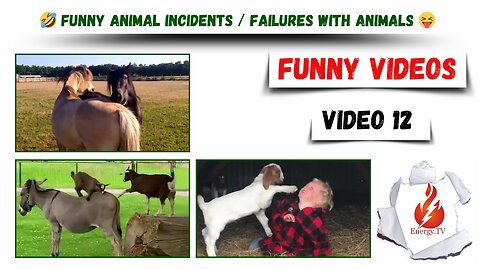 🤣 Funny videos / Funny animal incidents / Failures with animals 😝