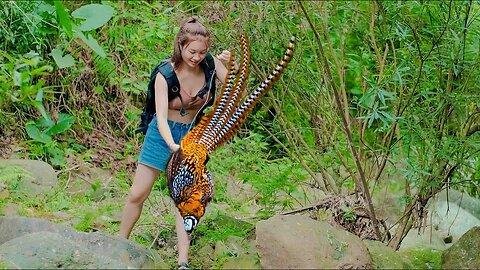 Go to the Jungle to Trap Phoenixes for a Lucky day | Wild Foest Life