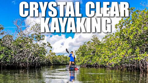 Exploring the Florida Islands by Crystal Clear Kayak - Summerland Key