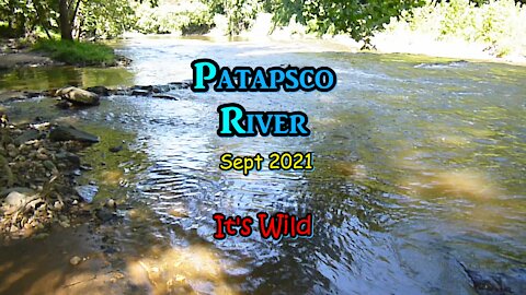 Patapsco River Sept 2021