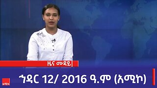 ምሽት 12:00 ዜና ሙዳይ ባሕር ዳር: ኅዳር 12/ 2016 ዓ.ም (አሚኮ)