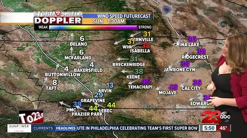 Storm Shield Forecast morning update 2/9/18