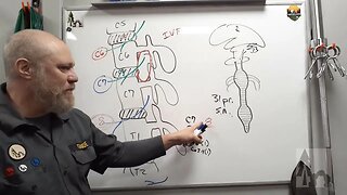 CNS Spinal Cord #1- Overview and Segments