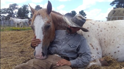 Hay and Horse Archery