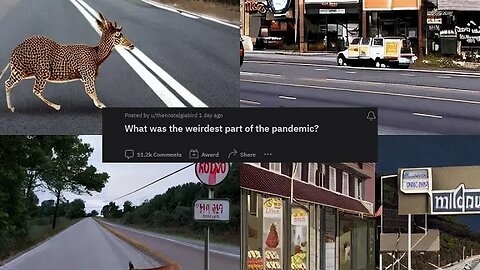 The Weirdest Parts of the Pandemic Revealed by Reddit Users!