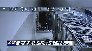 Policy changes follow dog attack at Oakland County Animal Control