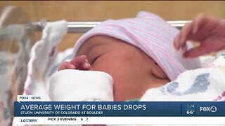 Average weight for babies drop