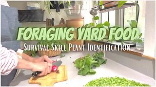 Zone 6B Vegetable Garden Tour UPDATE Foraging Food In The PNW