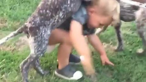 Toddler and puppies adorably play together