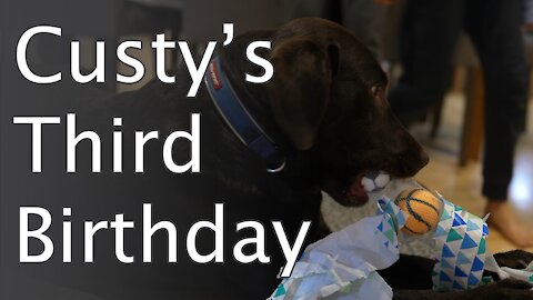 Custy's Third Birthday