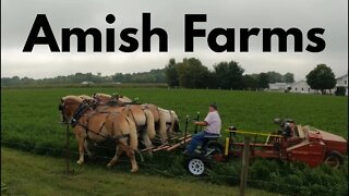 Amish Farms Indiana