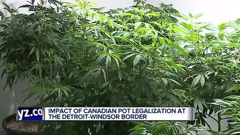 Impact of Canadian pot legalization at Detroit-Windsor border