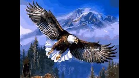 Eagle flying high in the blue sky