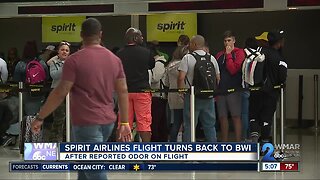 Spirit Airline flight turns back to BWI after reported odor on-board