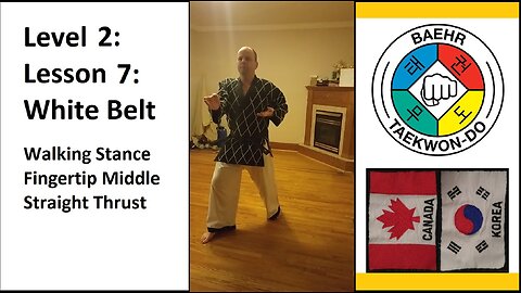 Baehr Taekwondo: 02-07: Yellow Stripe: Walking Stance - Fingertip Middle Straight Thrust