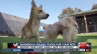 Holiday foods that are dangerous for your pets