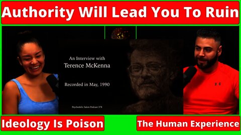 Reject Authority, Trust Yourself - Terence Mckenna Reaction