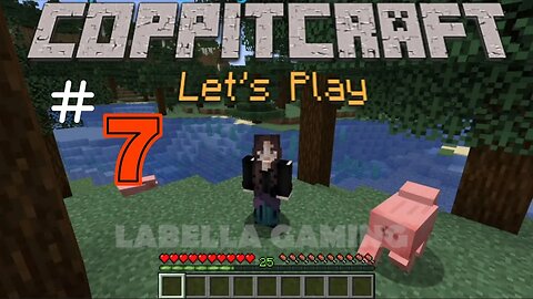 Let's Play - Coppitcraft - Ep 7 Not Prepared | Minecraft