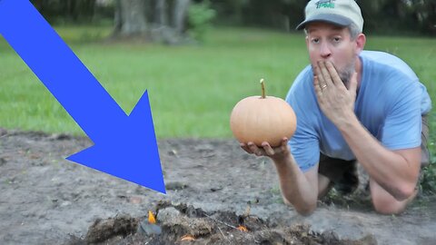 Pumpkins grew like CRAZY when we accidentally did this...