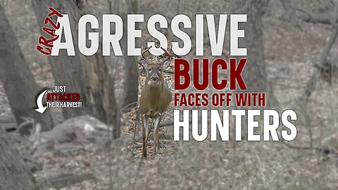 Watch this aggressive buck face off with hunters!