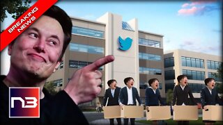 Terror At Twitter After Investor Leaks Elon Musks Plan To Wipe Out Nearly All of Them