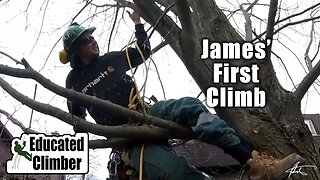James' First Climb April 2017 | Apprentice Arborist Humble Beginnings|
