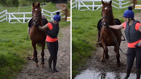 Silly horse tries to avoid walking through puddle