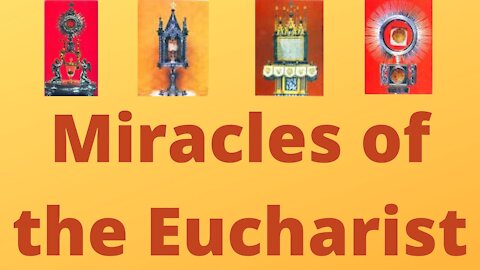 Miracles of the Eucharist Preview