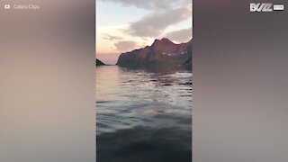 Un kayak circondato dalle orche in Norvegia