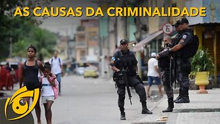 DESIGUALDADE SOCIAL aumenta a CRIMINALIDADE?